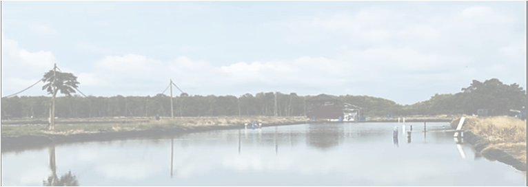 Shrimp-farm site at the center of an aquaculture operation